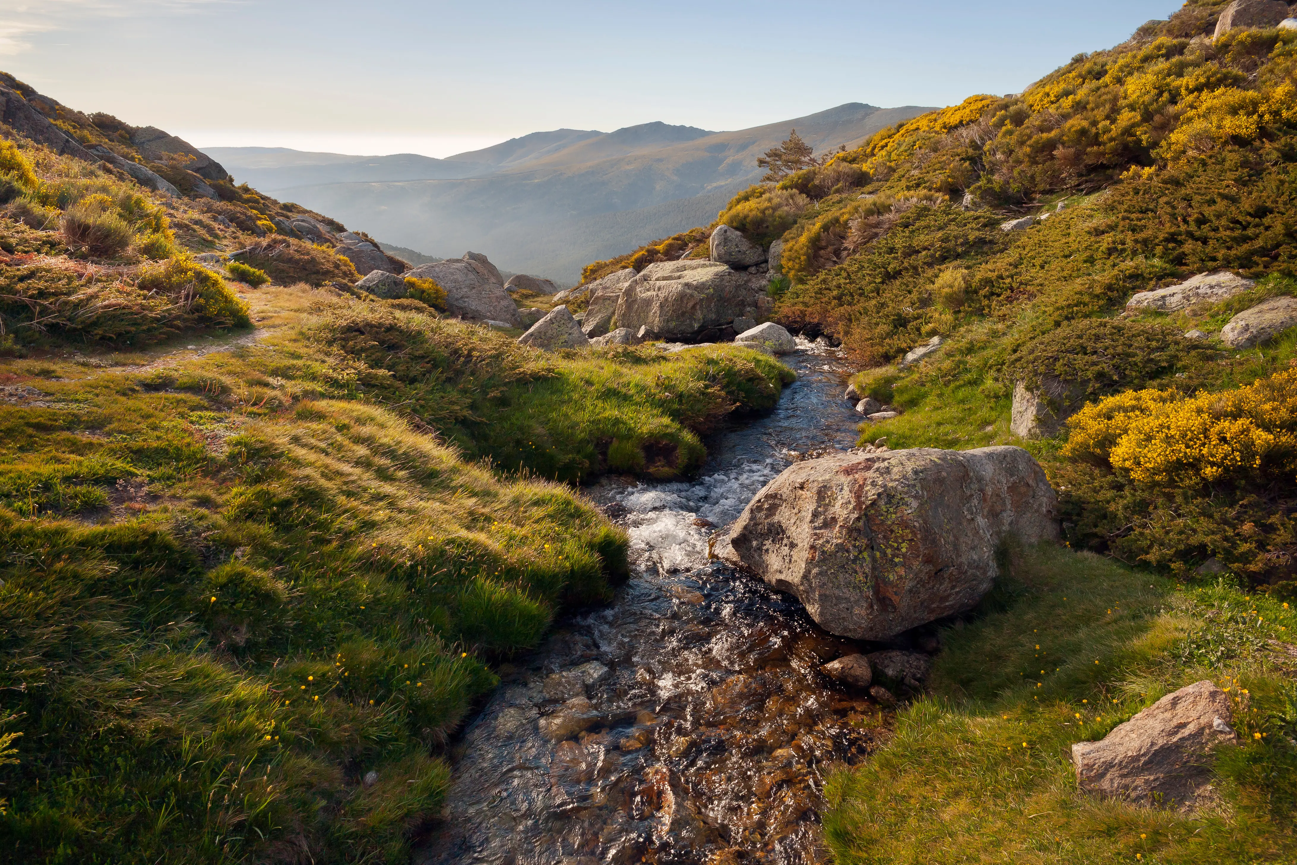 Sierra de Guadarrama